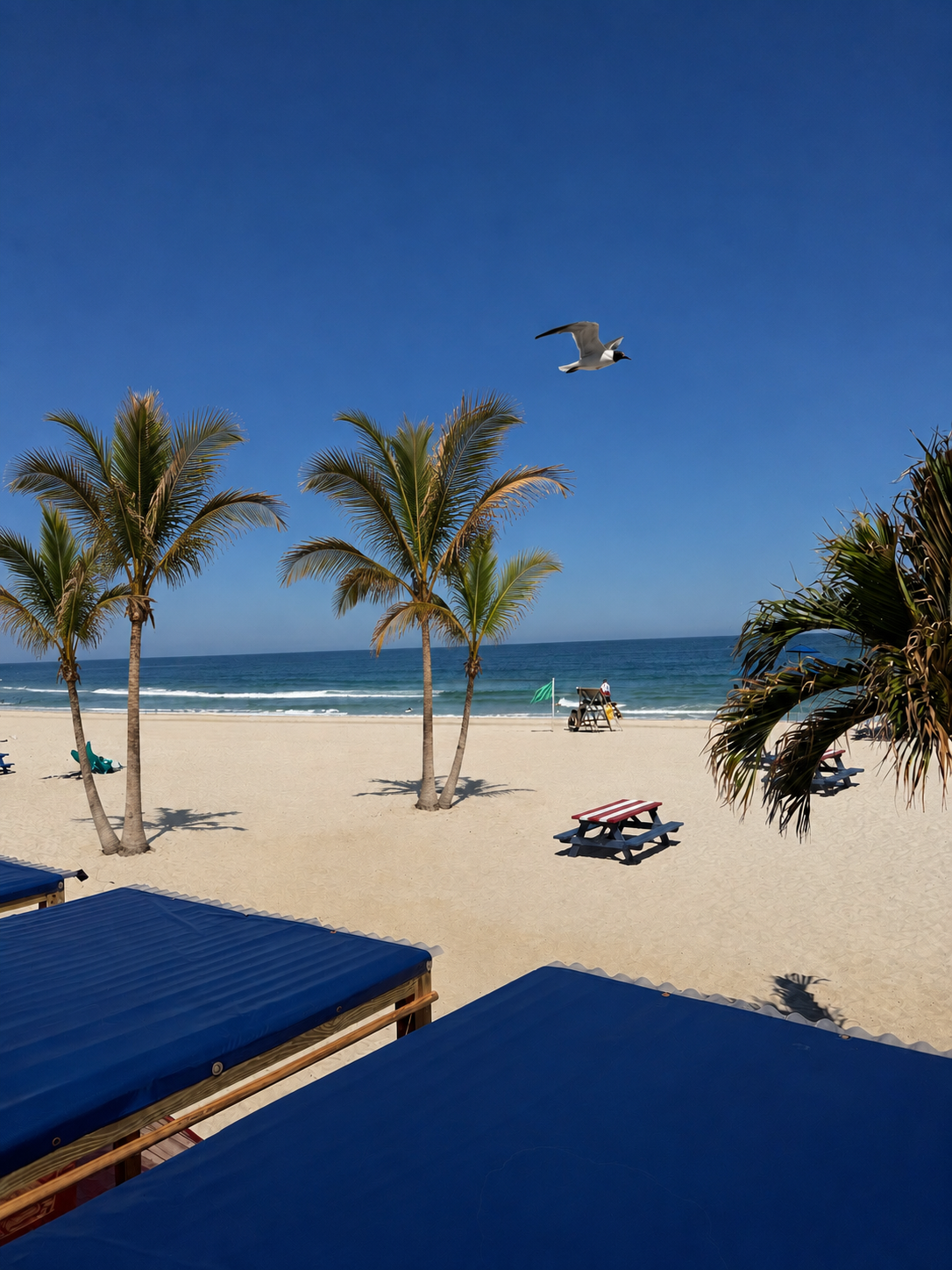 Private beach with palm trees and ocean view
