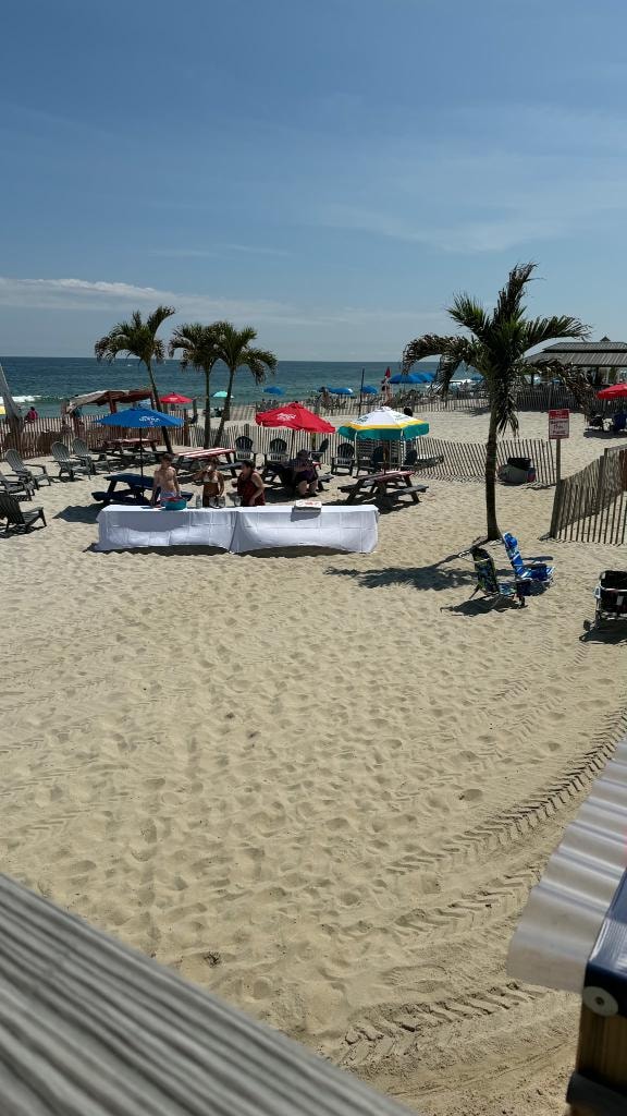 Beach area with palm trees, umbrellas, and ocean views